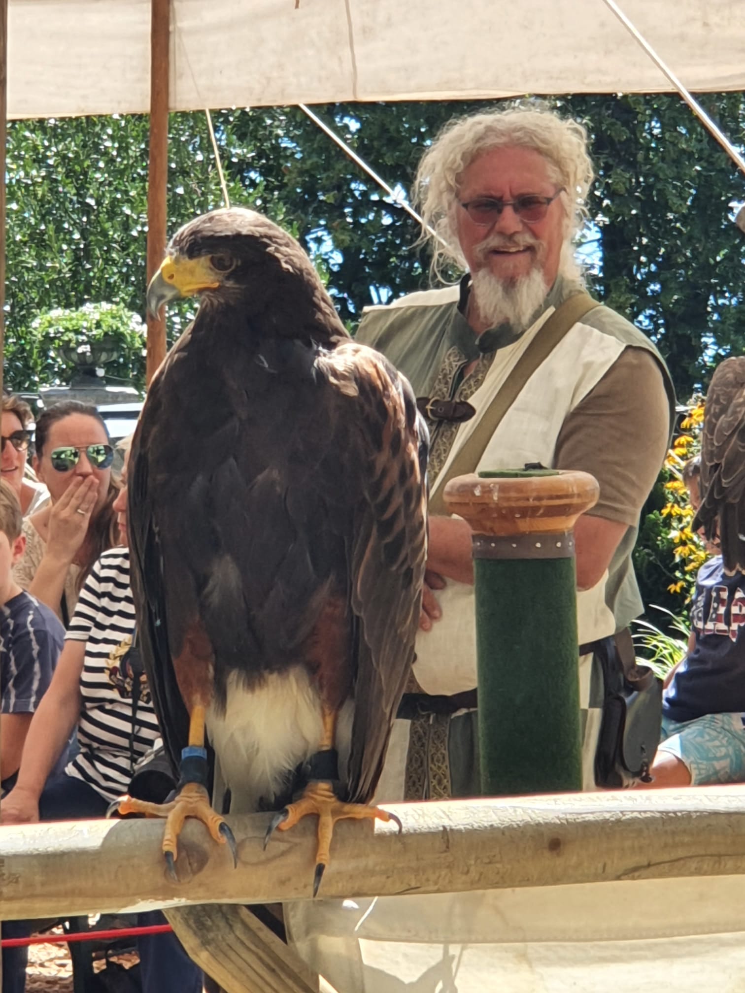 Herrscher der Lüfte